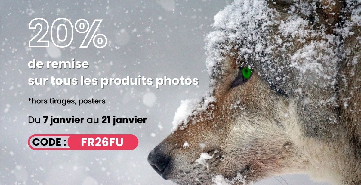 promo hiver